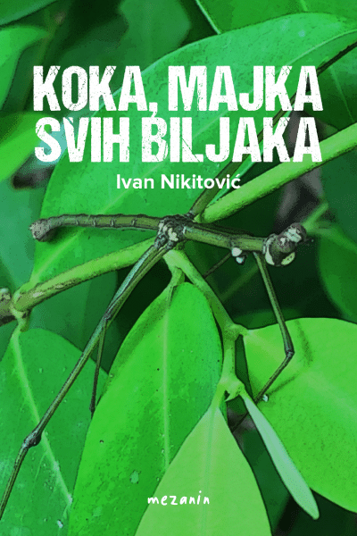 Koka, majka svih biljaka