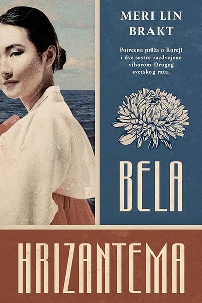 Bela hrizantema