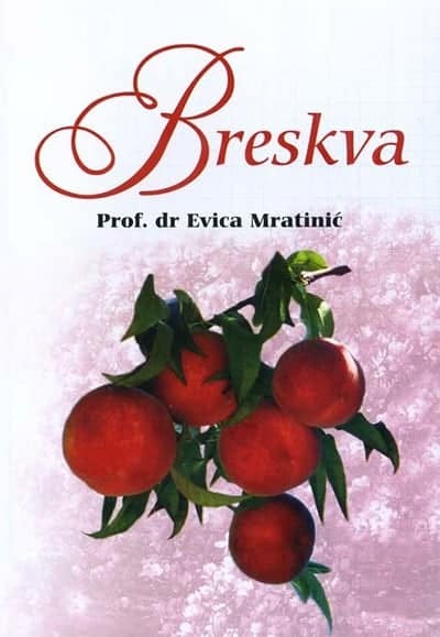 Breskva