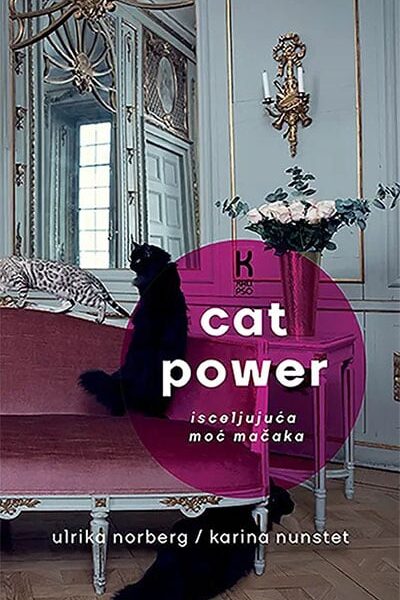 Cat Power – isceljujuća moć mačaka