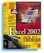 Excel 2002 biblija