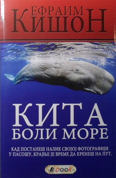 Kita boli more