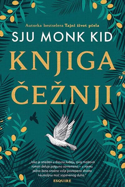 Knjiga čežnji