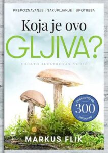 Koja je ovo gljiva