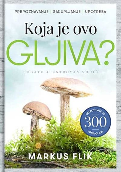 Koja je ovo gljiva
