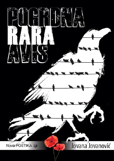 Pogrdna Rara avis