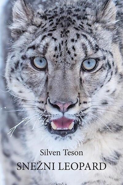 Snežni leopard