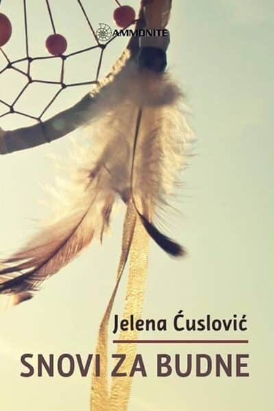 Snovi za budne