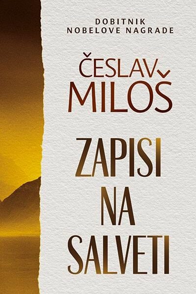 Zapisi na salveti