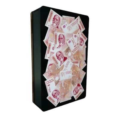 Kasica - 250.000 RSD