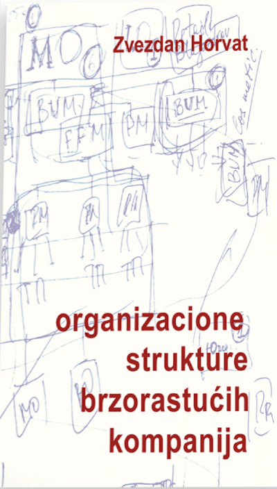 Organizacione strukture brzorastućih kompanija