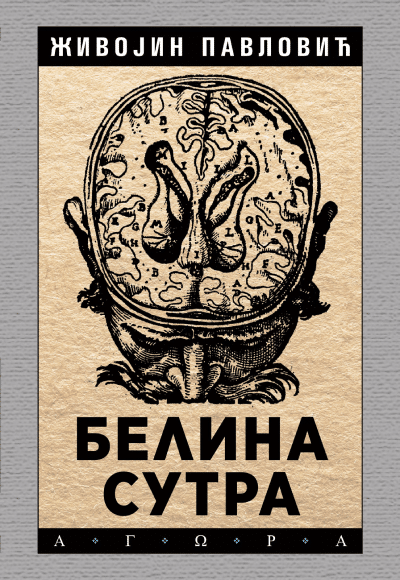 Belina sutra