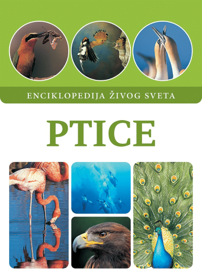 Ptice