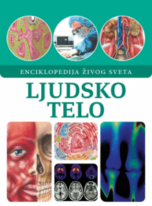 Ljudsko telo